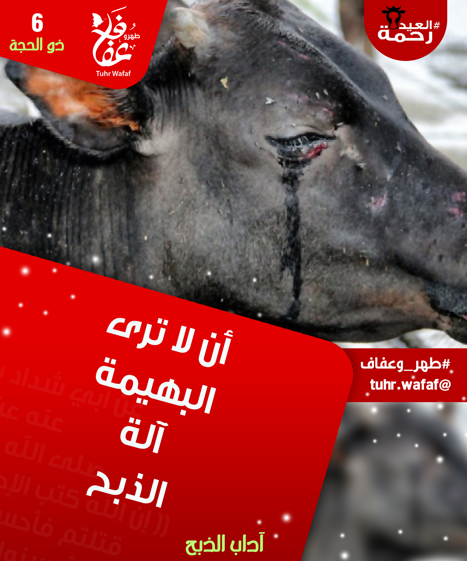 6 ذو الحجة