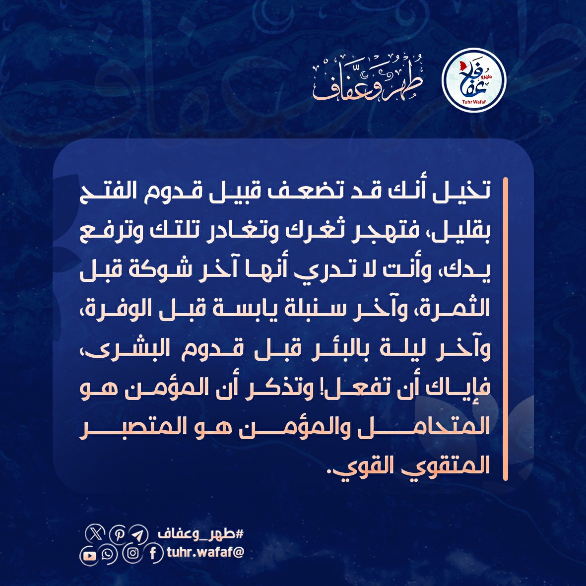 آخر شوكة قبل الثمرة